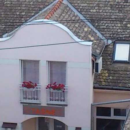 Apartment Masic *