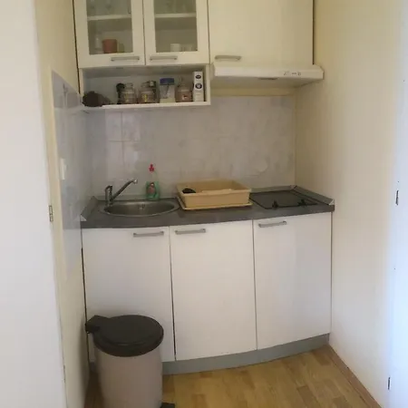 Apartment Masic *